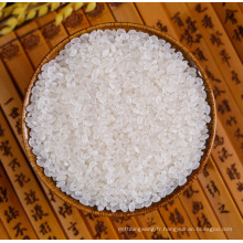 riz à sushi blanc à grain court de la meilleure qualité